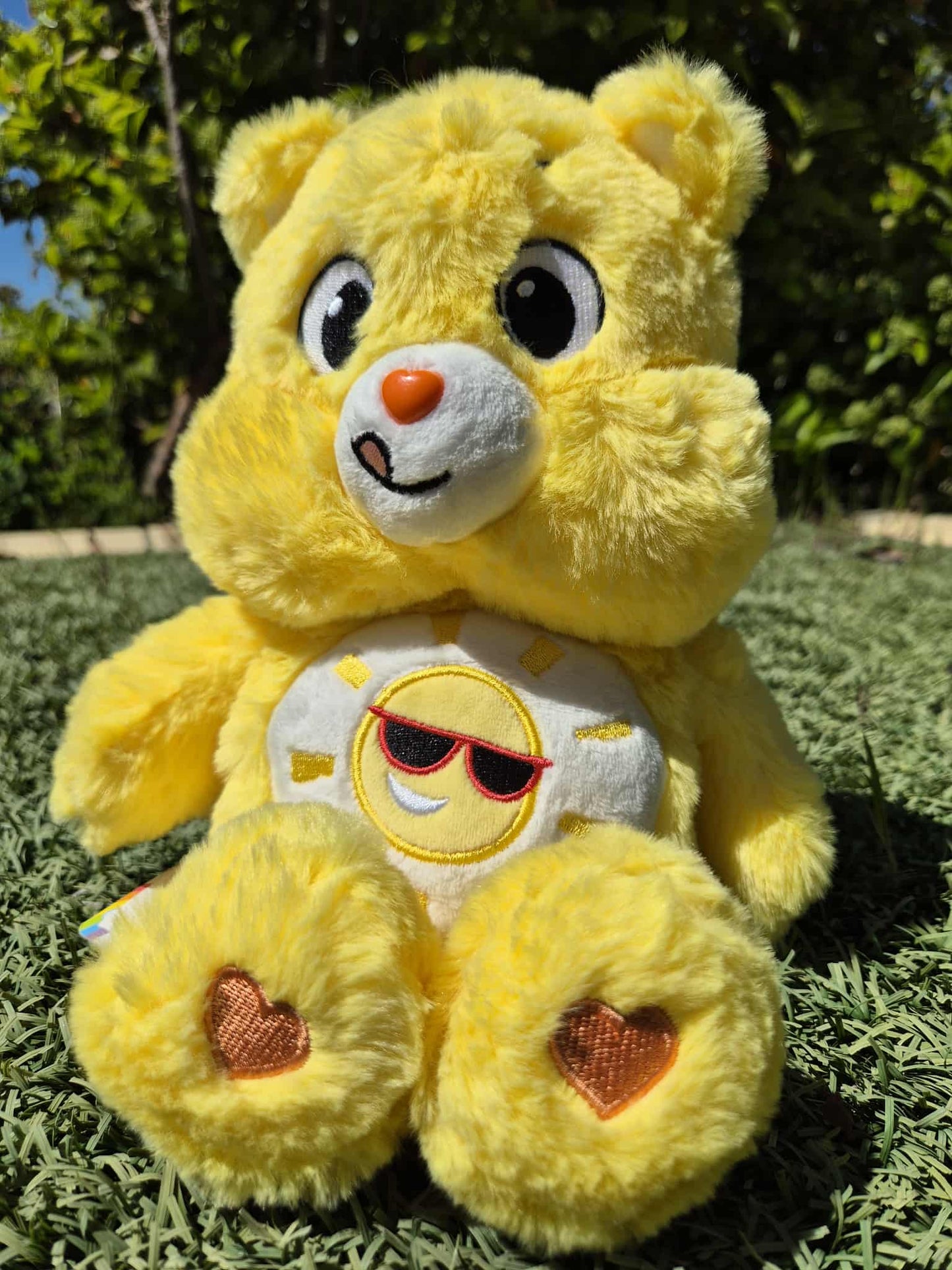 C BEAR TEDDIES