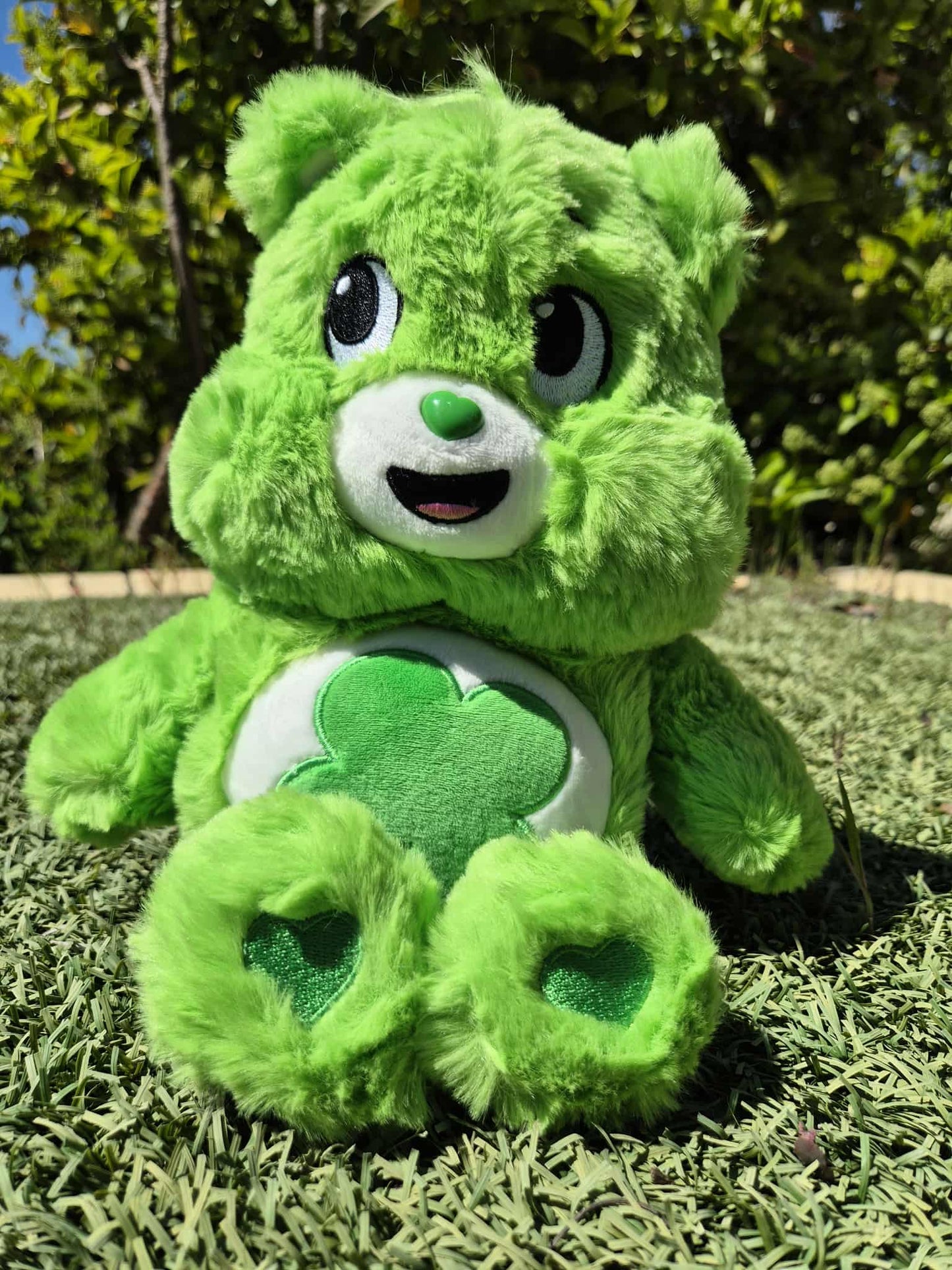 C BEAR TEDDIES