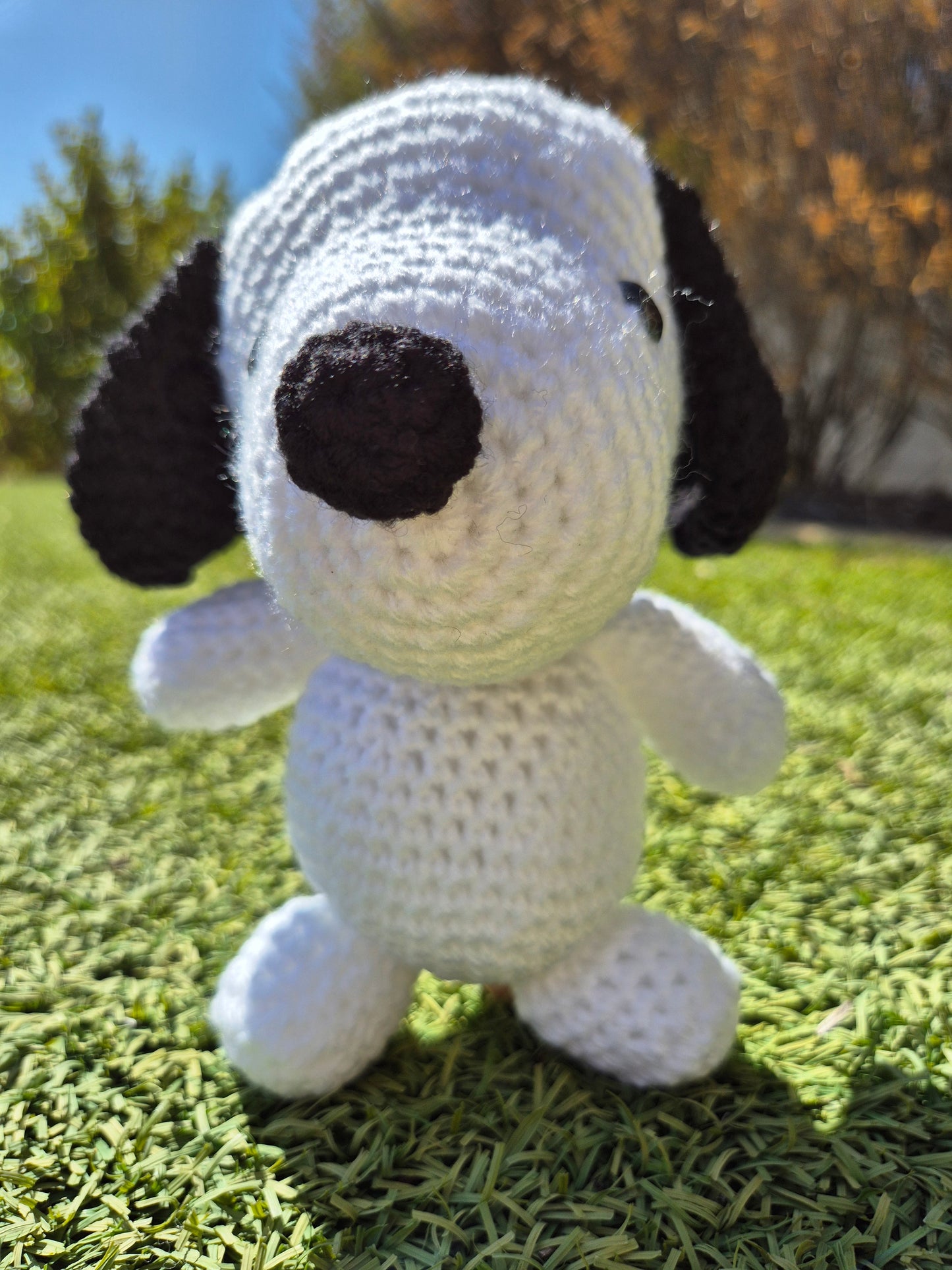 Crochet snoop